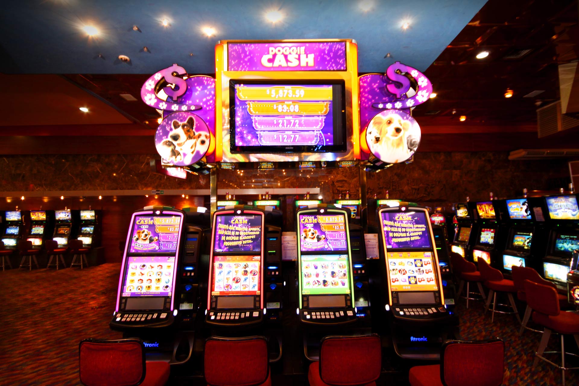 Slots Casino Majestic Panama City